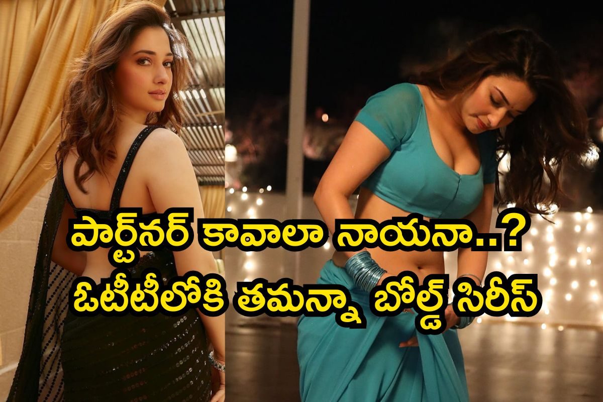 పార్ట్‌న‌ర్ కావాలా నాయనా..? ఓటీటీలోకి తమన్నా బోల్డ్ సిరీస్‌.. స్ట్రీమింగ్ డీటెయిల్స్ ఇవే..