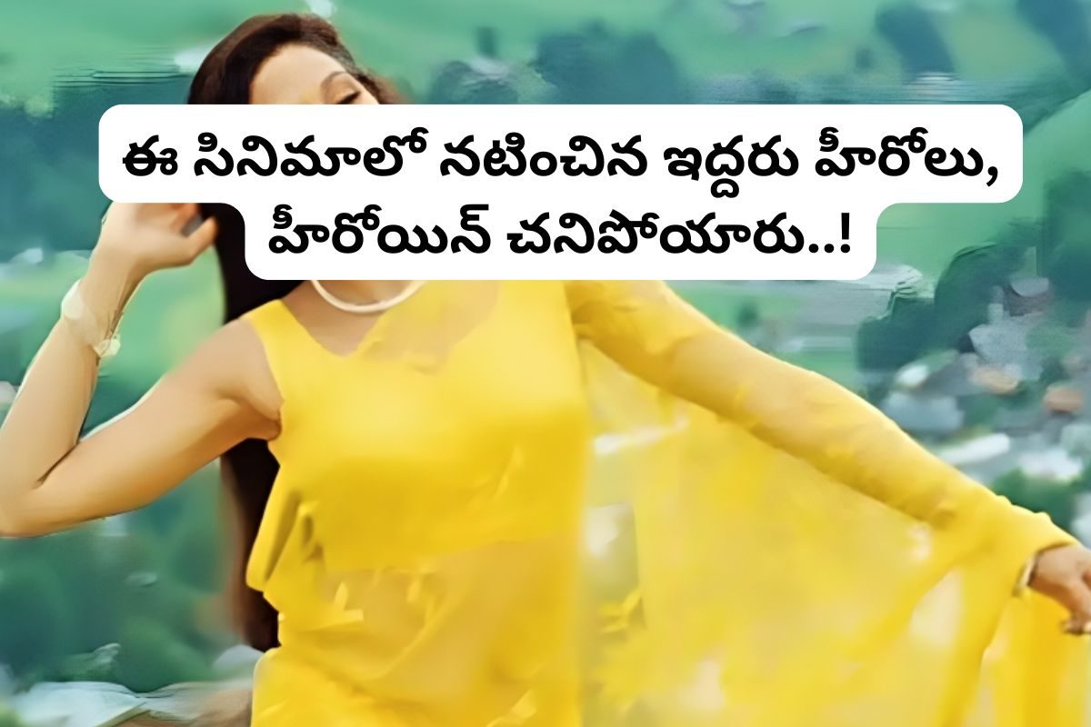 రూ.291 కోట్ల సినిమా.. కట్ చేస్తే, అందులో నటించిన ఇద్దరు హీరోలతో పాటు హీరోయిన్ కూడా మరణించి