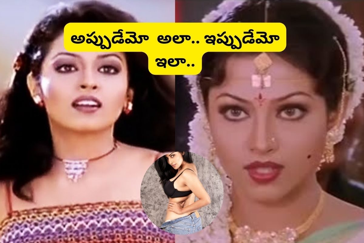 'నువ్వు నాకు నచ్చావ్' మూవీ ఆషా గుర్తుందా?... ఇప్పుడెలా ఉందో చూస్తే ఫ్యూజులు ఎగిరిపోతాయ్!