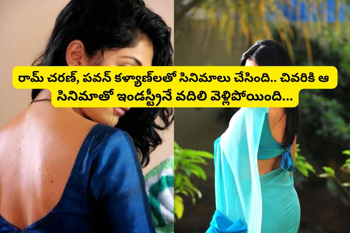 పవన్ కళ్యాణ్, రామ్ చరణ్‌లతో సినిమాలు చేసింది.. ఆ ఒక్క సినిమాతో ఇండస్ట్రీ వదిలేసింది