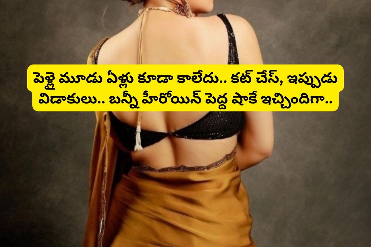 పెళ్ళై ముచ్చటగా మూడేళ్లు కూడా కాలేదు.. అప్పుడే విడాకులు తీసుకుంటున్న అల్లు అర్జున్ హీరోయిన