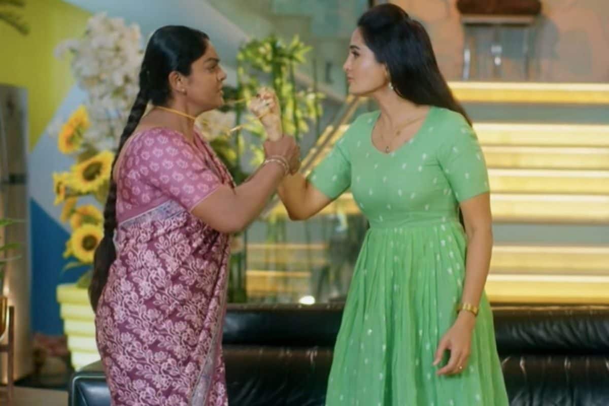 Karthika Deepam Serial: సుమిత్ర దెబ్బకు జ్యోత్స్నకు మైండ్ దొబ్బిందిగా... ఇది సీరియల్ అంటే!