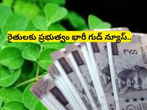 सीएम नायडू ने किसानों के लिए त्रुटिहीन भूमि रिकॉर्ड, मुफ्त पासबुक सुनिश्चित की.