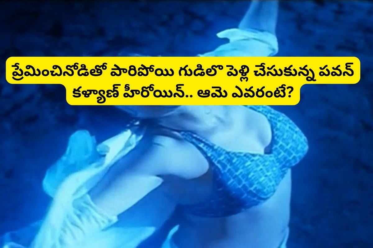 పవన్ కళ్యాణ్, మహేష్ బాబు, NTRలతో సినిమాలు చేసింది... కట్ చేస్తే, పారిపోయి పెళ్లి చేసుకుంద