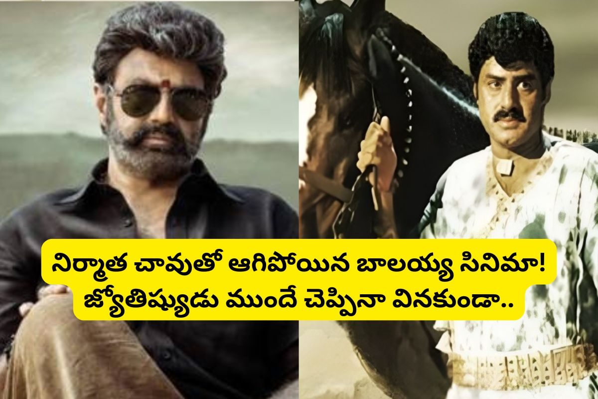 2001లోనే బాలకృష్ణతో 'బాహుబలి' లాంటి సినిమా.. జ్యోతిష్యుడు వద్దు మొర్రో అన్నాడు.. కానీ..!