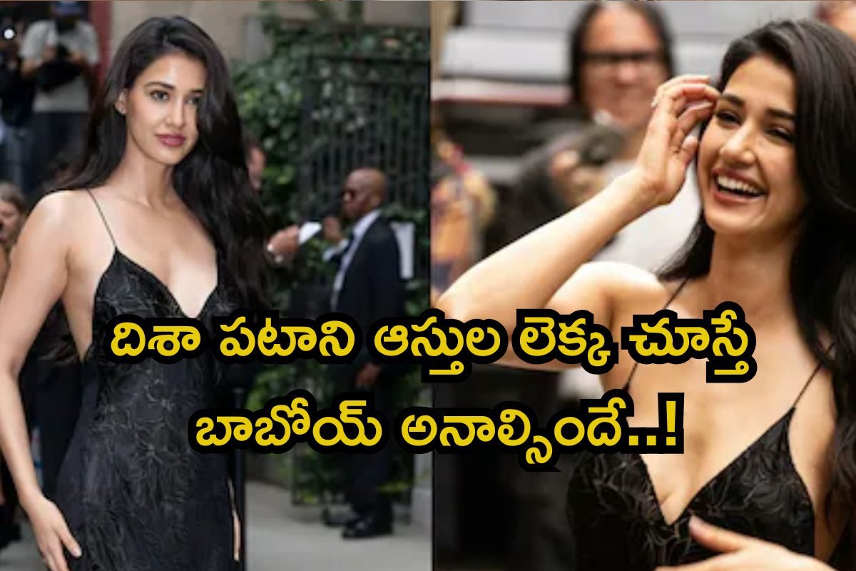 Disha Patani: దిశా పటానీ లైఫ్‌స్టైల్ చూస్తే షాకే.. ఆస్తుల విలువ ఎంతో తెలుసా? పెట్టుబడుల్లో
