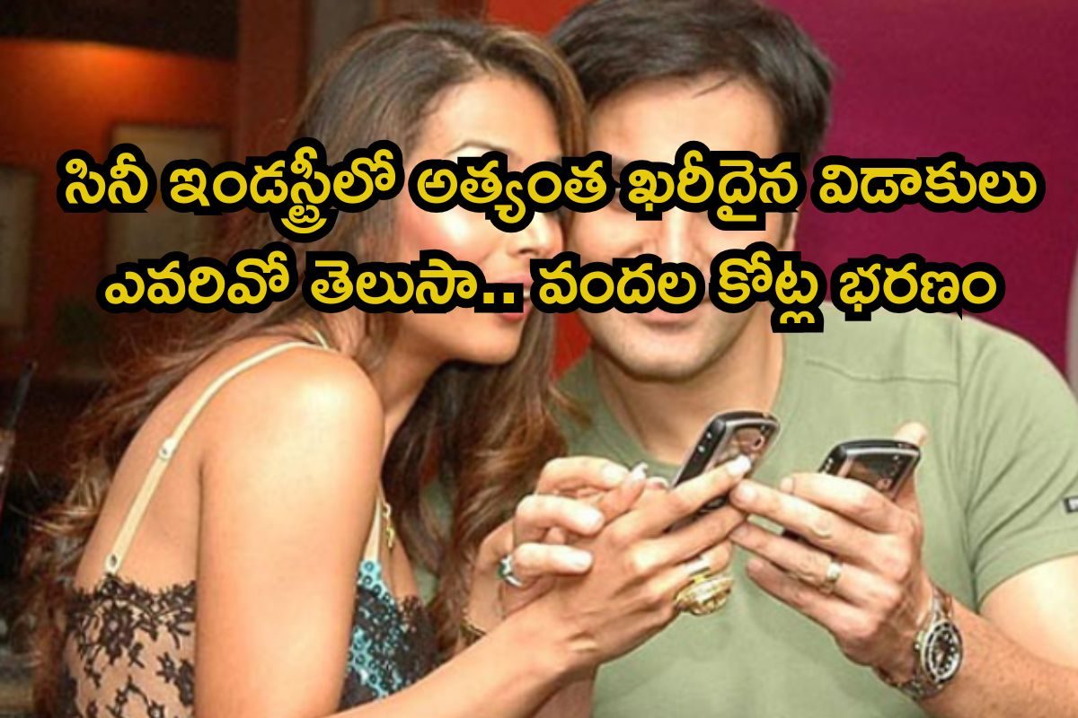 Celebrity Divorces: సినీ ఇండస్ట్రీలో అత్యంత ఖరీదైన విడాకులు ఎవరివో తెలుసా.. వందల కోట్ల భరణ