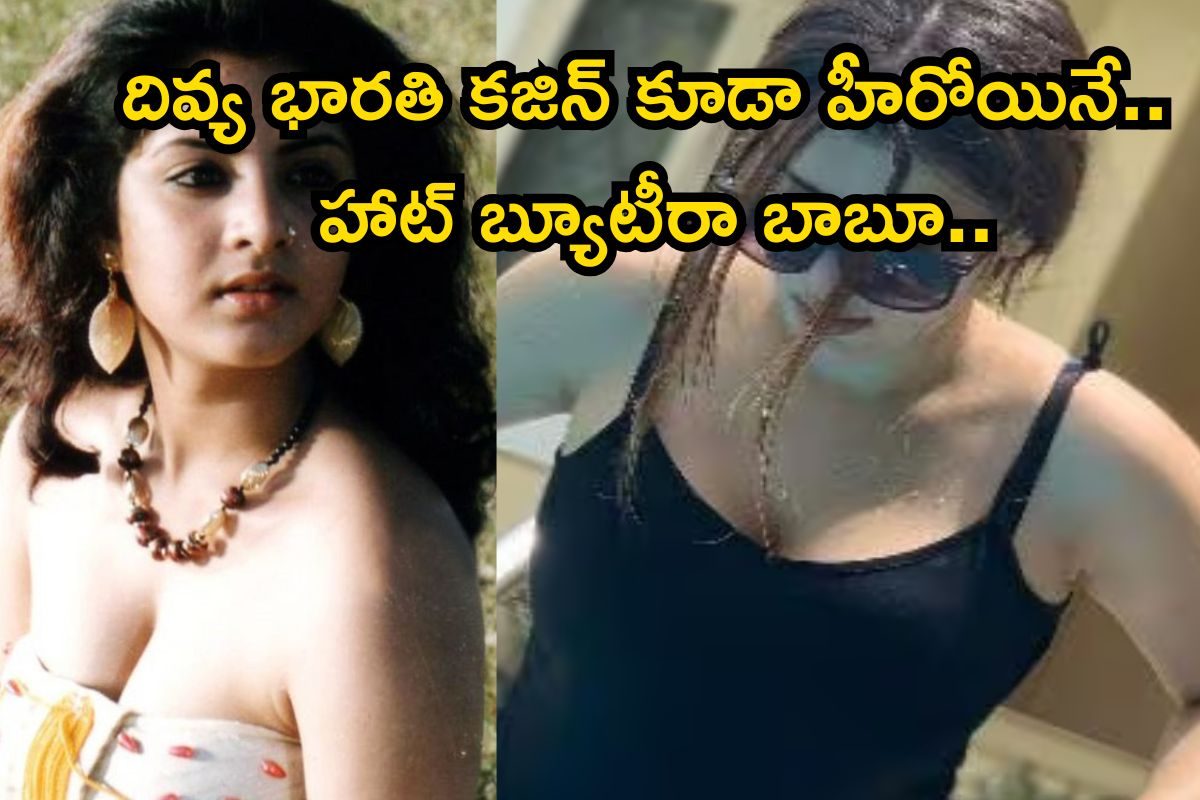 Actress: దివ్య భారతి కజిన్ కూడా హీరోయినే అని తెలుసా? హాట్ బ్యూటీరా బాబూ.. ఆమె సినిమాలు ఇవే