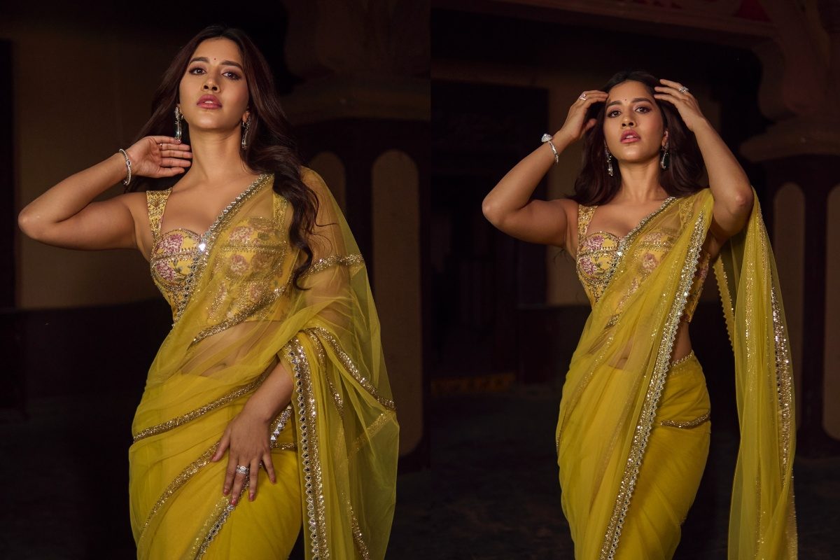 Nabha Natesh: చీరకట్టులో అదిరేటి అందాలు.. చెమటలు పట్టించే గ్లామర్ మావా