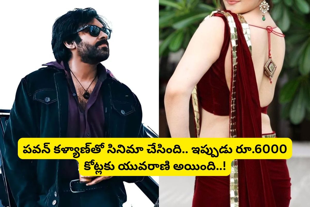 తెలుగులో చేసింది ఒకే ఒక్క సినిమా.. అది కూడా పవన్ కళ్యాణ్‌తో.. ఇప్పుడు రూ.6000 కోట్లకు రాణి