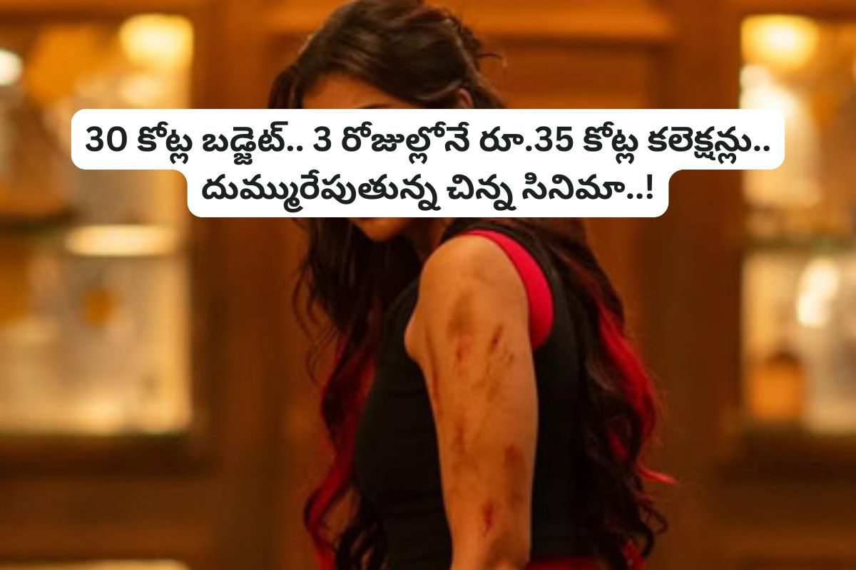 బడ్జెట్ రూ.30 కోట్లు.. 3 రోజుల్లో వచ్చినవి రూ.35 కోట్లు.. రికార్డులు తిరగరాస్తున్న మూవీ!