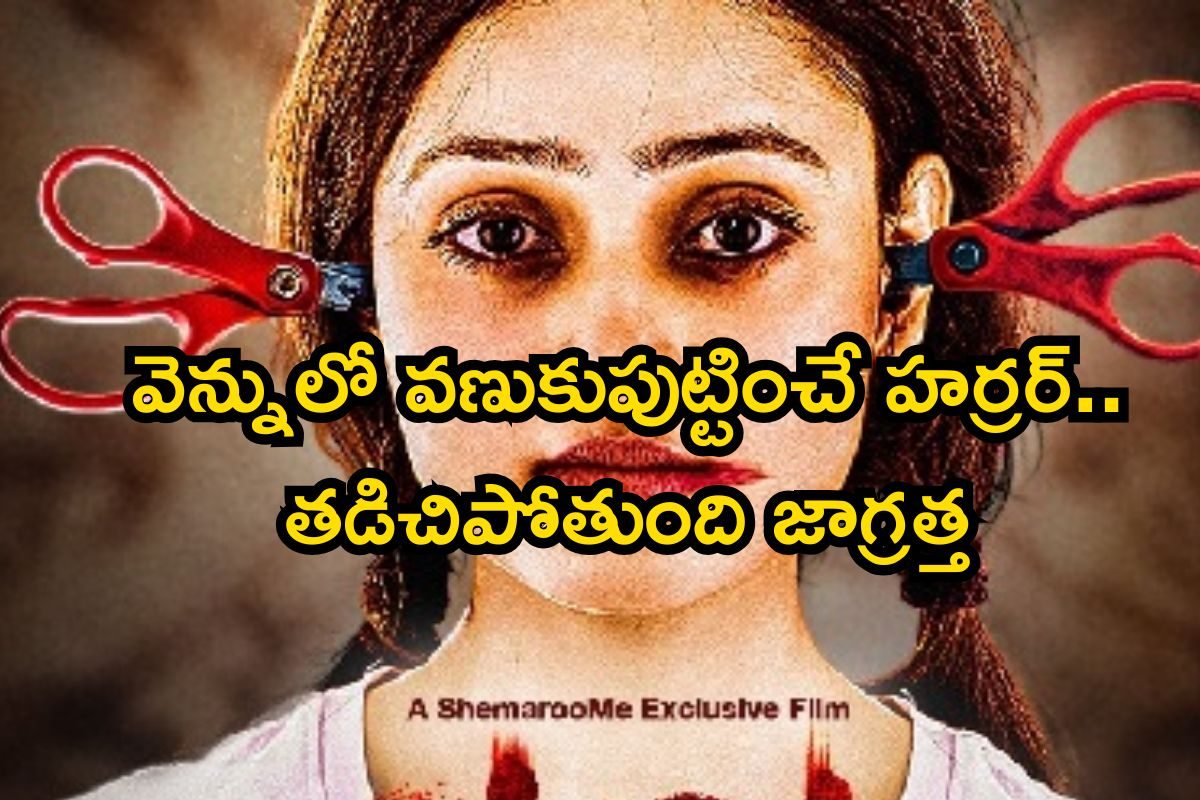 వెన్నులో వణుకుపుట్టించే హర్రర్ సినిమా.. ఒక్కో సీన్‌ ఒక్కో లెవెల్, ఒంటరిగా చూస్తే అంతే ఇక..