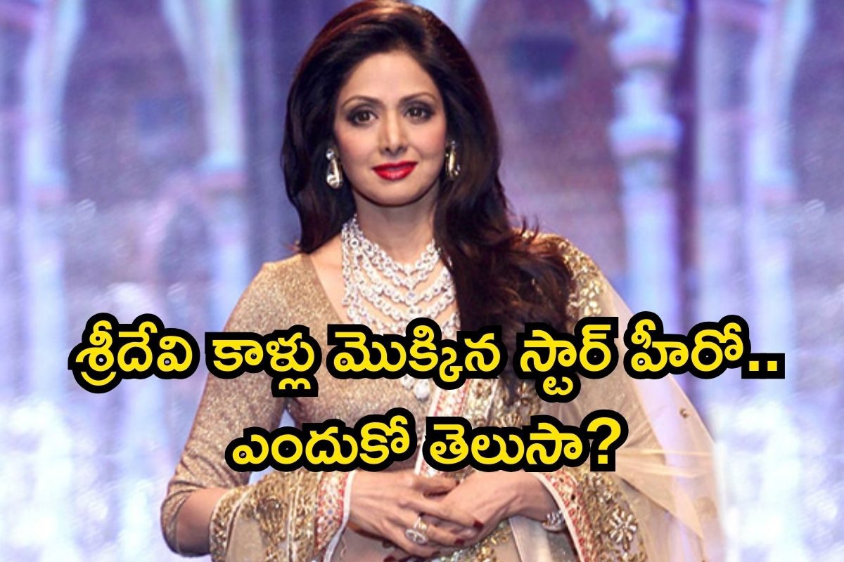 Senior Hero: శ్రీదేవి కాళ్లు మొక్కిన స్టార్ హీరో.. తెరపై రెచ్చిపోయి రొమాన్స్.. ఇతగాడు మామూ