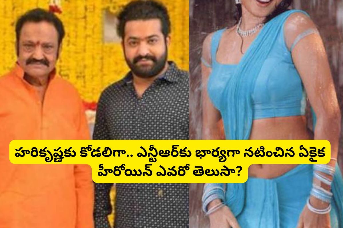 నందమూరి హరికృష్ణకు కోడలుగా.. NTRకి భార్యగా నటించిన ఏకైక స్టార్ హీరోయిన్ ఎవరో తెలుసా?