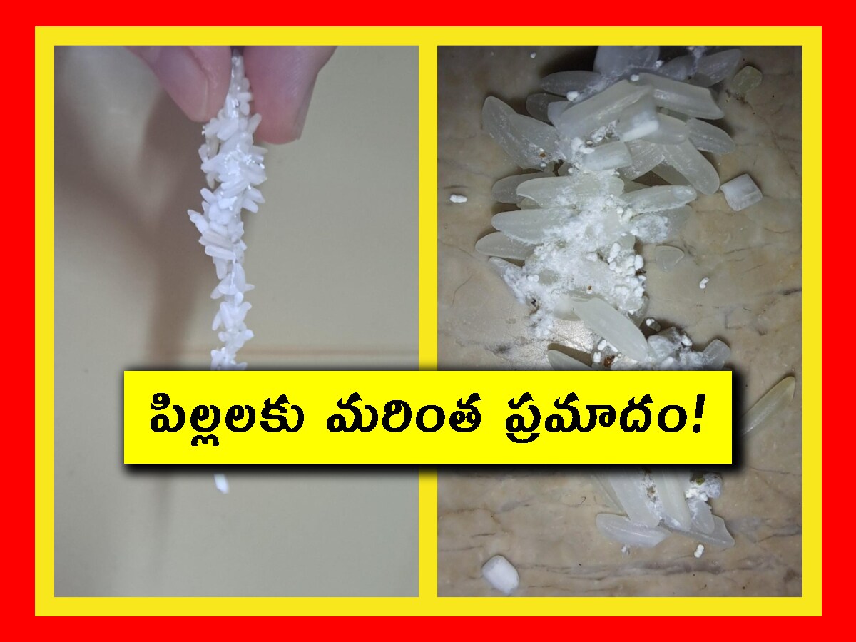Sticky Rice Clusters Clusters in Rice: బాబోయ్.. బియ్యంలో ఇది వస్తే.. అస్సలు తినకండి.. ఇదేంటో ...
