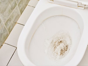 Toilet Flushing Danger: Are You Making This Mistake? Your Life Could Be at Risk!