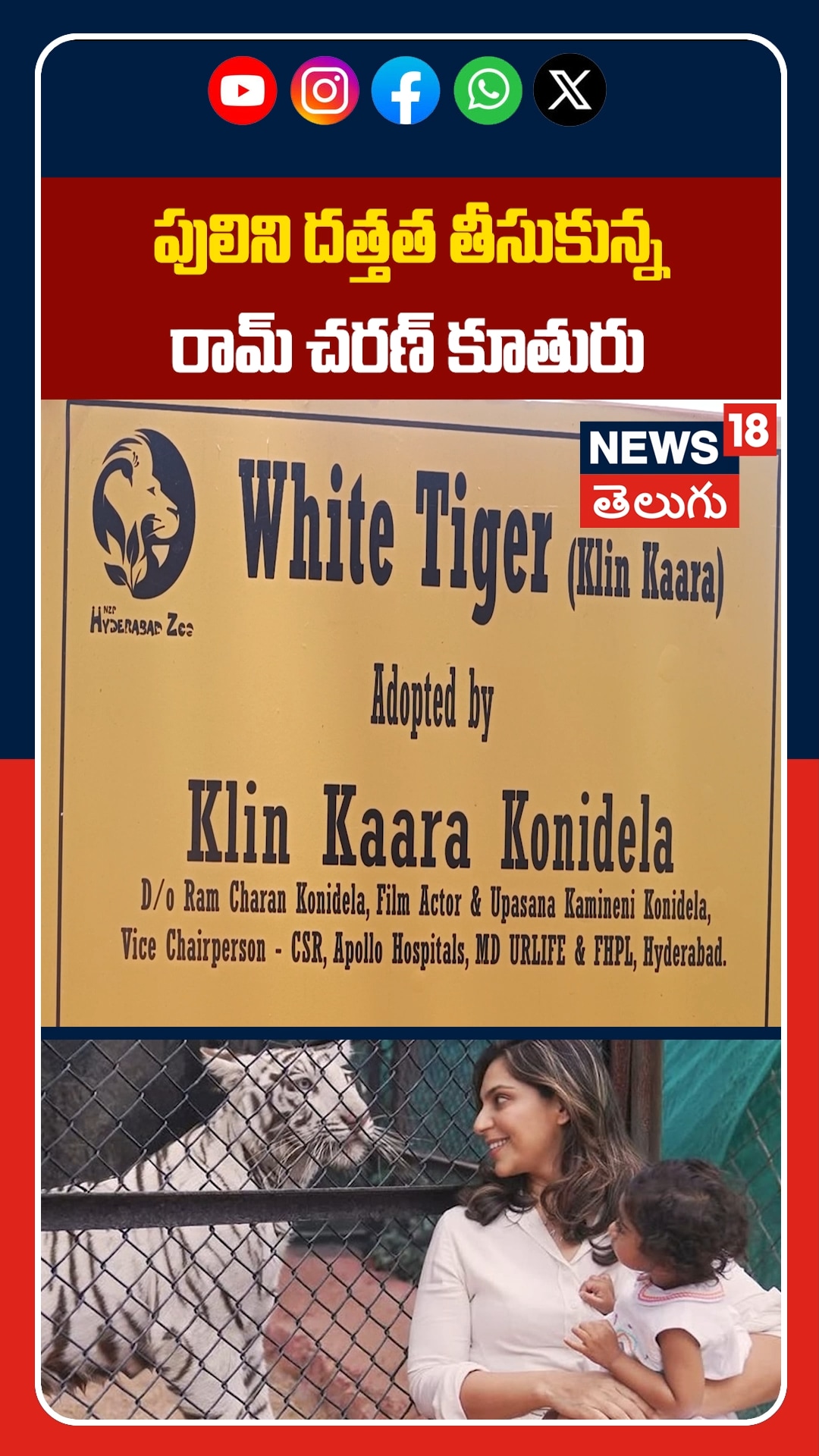 Ram Charan & Upasana Adopt White Tiger | పులిని దత్తత తీసుకున్న రామ్ చరణ్ కూతురు