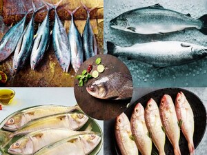 India's Most Expensive Seafood Revealed: Prices Soar for Delicacies