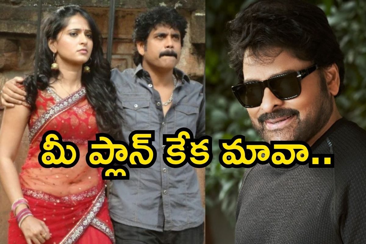 Nagarjuna 100: నాగార్జునతో మరోసారి అనుష్క రొమాన్స్! చిరంజీవి ఎంట్రీ కూడా.. ఈ ప్లాన్ కేక