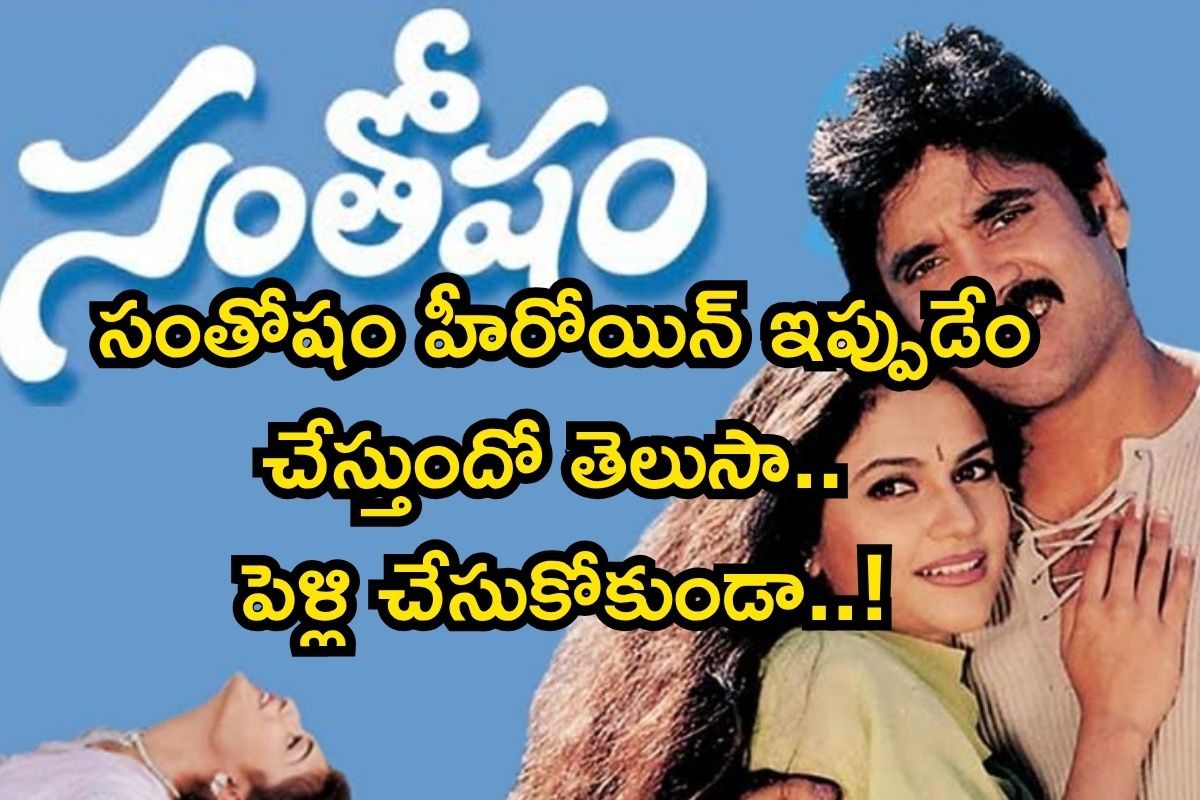 Heroine: సంతోషం హీరోయిన్ ఇప్పుడేం చేస్తుందో తెలిస్తే షాకవుతారు.. సినిమాలు వదిలేసి ఇలా..!