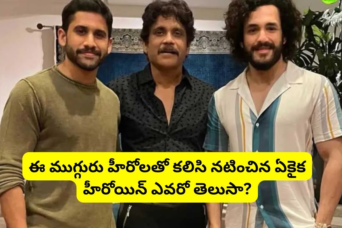 అక్కినేని నాగార్జున, నాగ చైతన్య, అఖిల్.. ఈ ముగ్గురు హీరోలతో నటించిన ఏకైక స్టార్ హీరోయిన్!