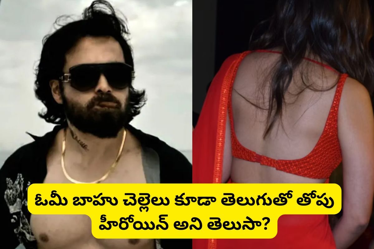 'OG' సినిమా విలన్ చెల్లెలు తెలుగులో తోపు హీరోయిన్ అని మీకు తెలుసా?