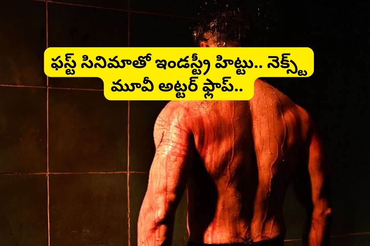 ఫస్ట్ సినిమా ఇండస్ట్రీ హిట్టు.. నెక్స్ట్ సినిమా అట్టర్ ఫ్లాప్.. ఆ టాలీవుడ్ హీరో ఎవరంటే?