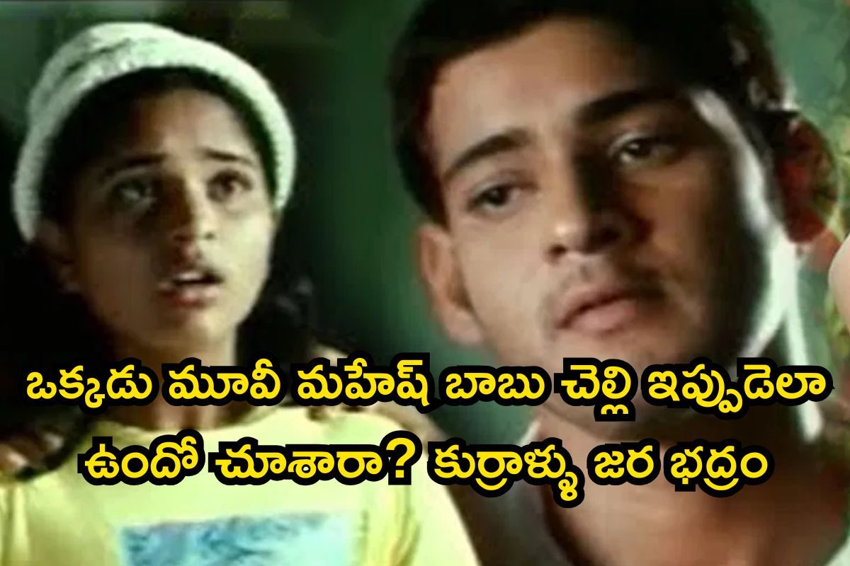 Telugu Actress: ఒక్కడు మూవీ మహేష్ బాబు చెల్లి గుర్తుందా? ఇప్పుడెలా ఉందో చూస్తే షాకే..