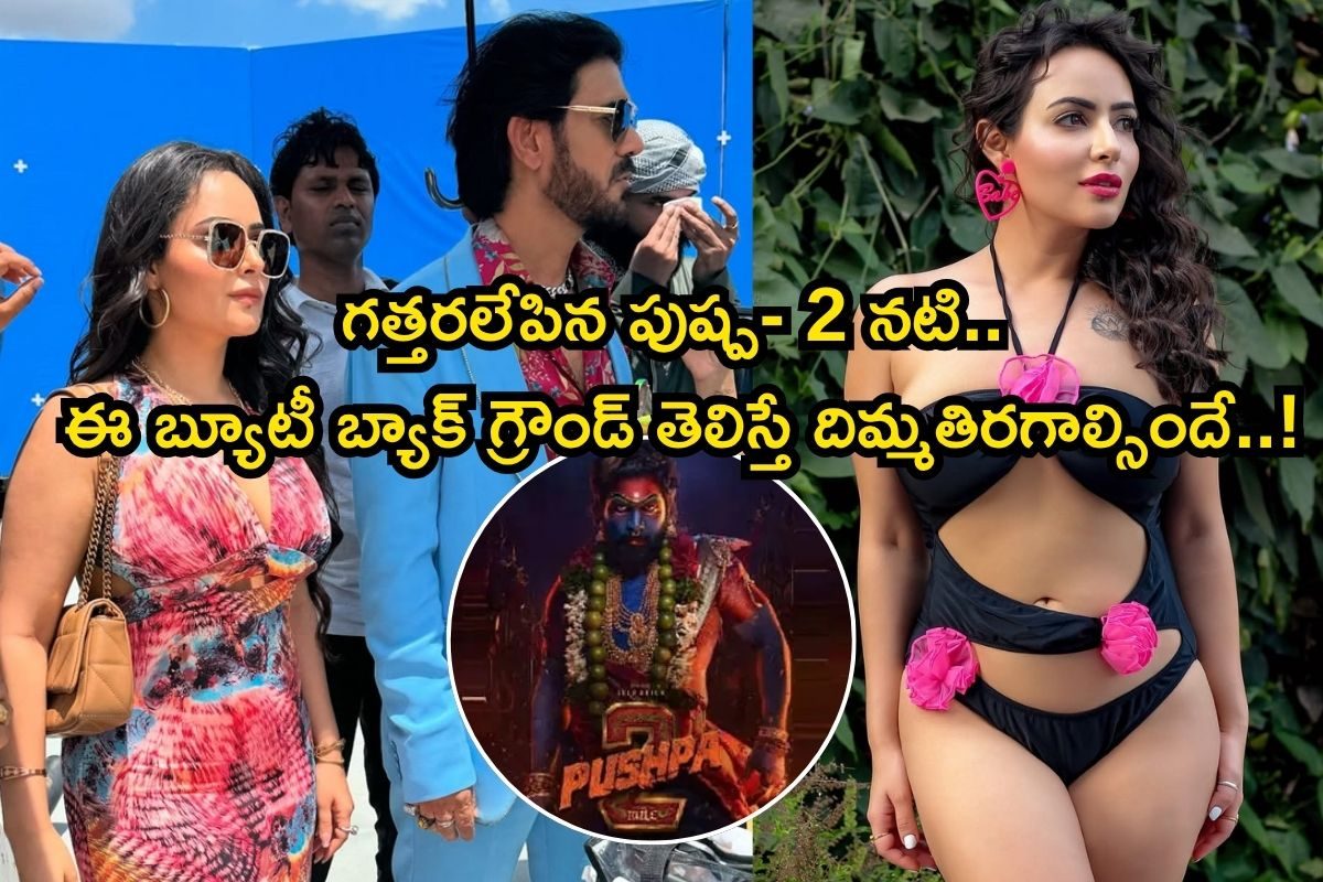 పుష్ప- 2లో మెరిసిన ఈ బ్యూటీ గుర్తుందా..? ఆమె బ్యాక్ గ్రౌండ్ తెలిస్తే దిమ్మతిరగాల్సిందే..