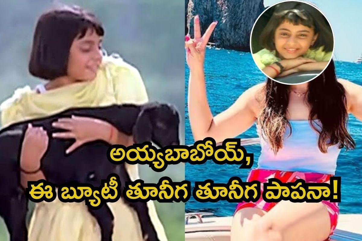 మనసంతా నువ్వే తూనీగ తూనీగ పాప గుర్తుందా? ఇప్పుడెలా ఉందో చూస్తే ఫ్యూజులు ఎగిరిపోతాయ్ మావా