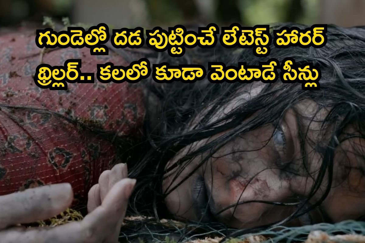 OTT Horror: గుండెల్లో దడ పుట్టించే లేటెస్ట్ హారర్ థ్రిల్లర్.. కలలో కూడా వెంటాడే సీన్లు
