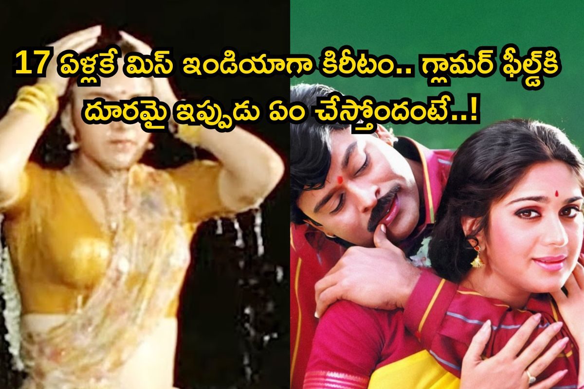 Chiranjeevi: చిరంజీవి ఆపద్బాంధవుడు హీరోయిన్ గుర్తుందిగా.. ఆమె కెరీర్ సీక్రెట్స్ తెలిస్తే