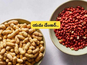 Peanuts: How You Eat Them Matters; Incorrect Prep is Dangerous.