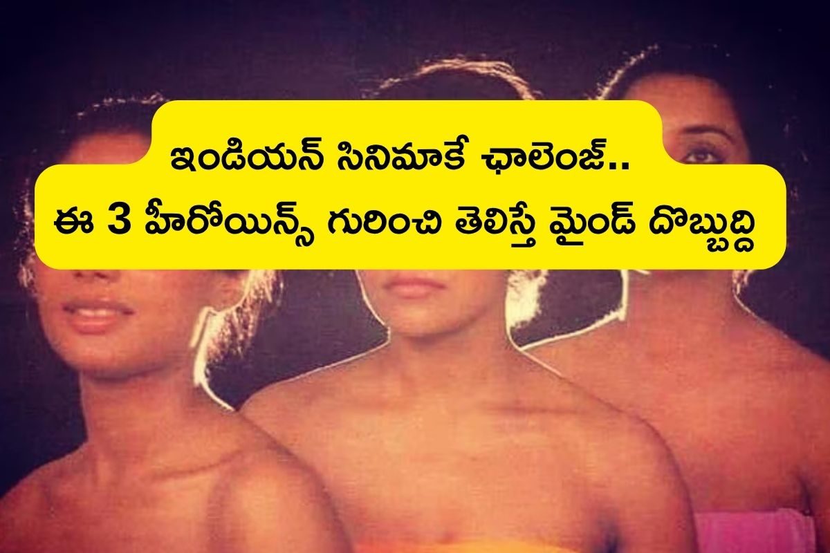 హీరోయిన్స్ అంటే రొమాన్స్ మాత్రమేనా..? వీళ్ల దెబ్బకు ఇండియన్ సినిమా ట్రెండే మారిపోయింది మావ