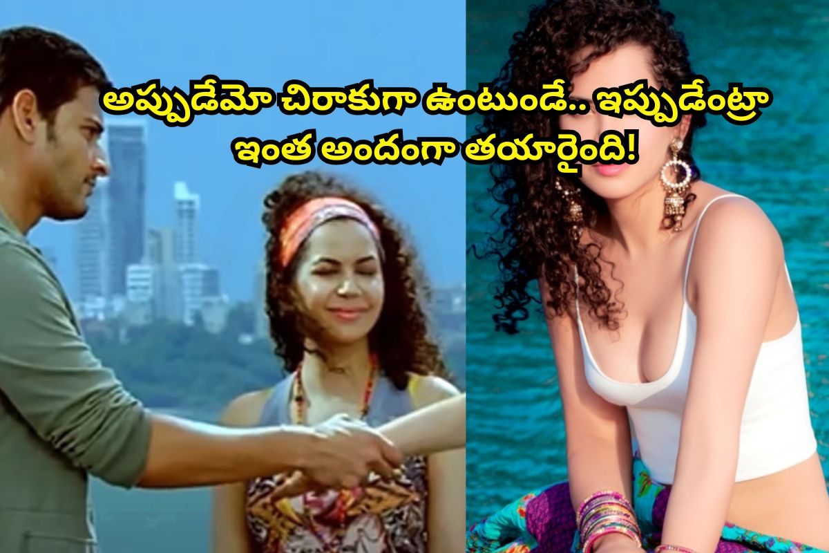 'బిజినెస్‌మేన్' సినిమాలో కాజల్ ఫ్రెండ్‌ గుర్తుందా?.. ఇప్పుడెలా ఉందో తెలుసా! ఇంత అందంగా