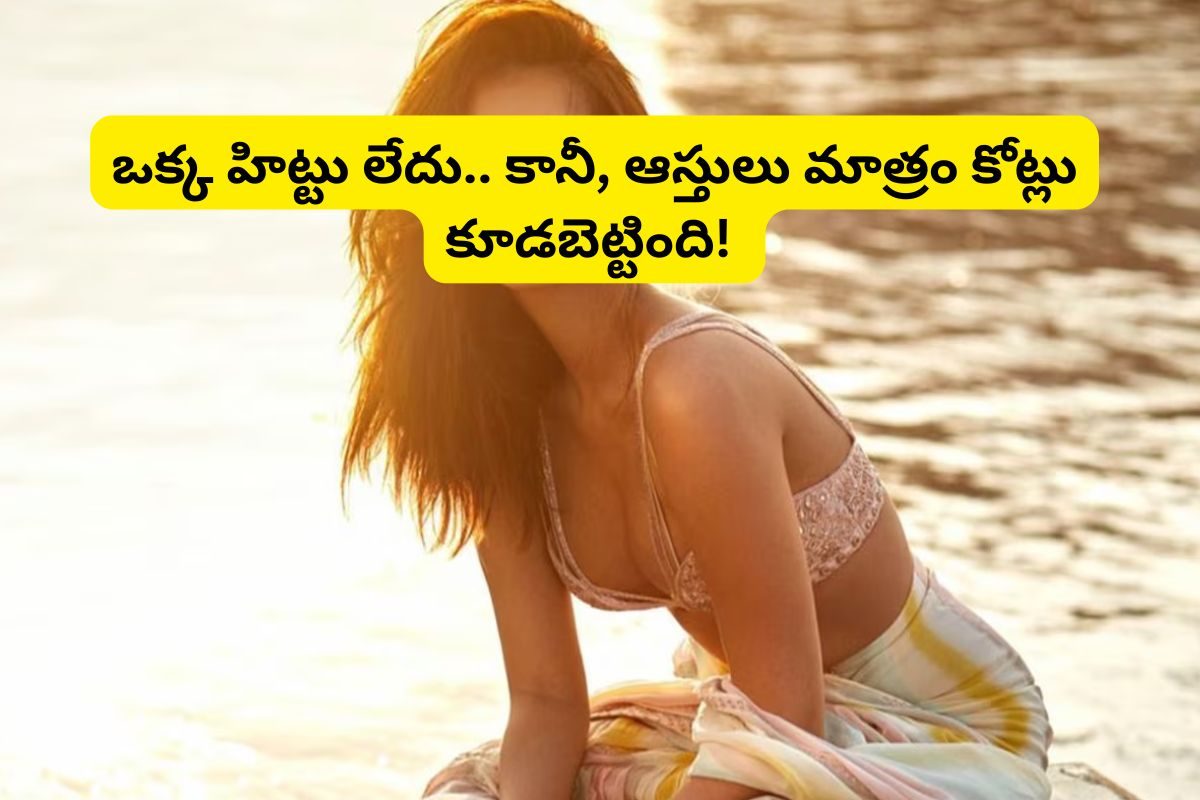 ఒక్క హిట్టు కూడా లేదు మామ.. కానీ ఆస్తులు మాత్రం కోట్లల్లోనే.. ఈ హీరోయిన్‌ను గుర్తుపట్టారా?