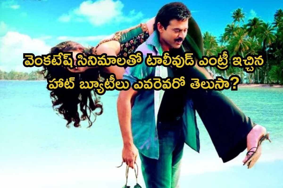 ఆర్తి అగర్వాల్, నయనతార సహా వెంకటేష్ సినిమాలతో టాలీవుడ్ ఎంట్రీ ఇచ్చిన హాట్ బ్యూటీలు వీళ్లే