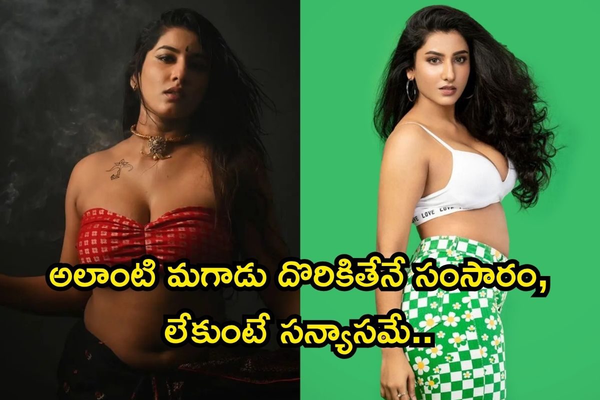 Vishnu Priya: అలాంటి మగాడు దొరికితేనే సంసారం, లేకుంటే సన్యాసమే.. విష్ణు ప్రియ ఓపెన్