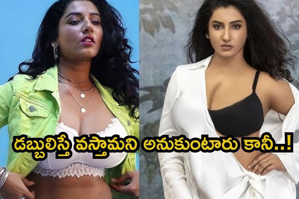 వాళ్లు బేవర్స్ గాళ్లు.. డబ్బులిస్తే వస్తామని అనుకుంటారు.. విష్ణు ప్రియ బ్లాస్టింగ్