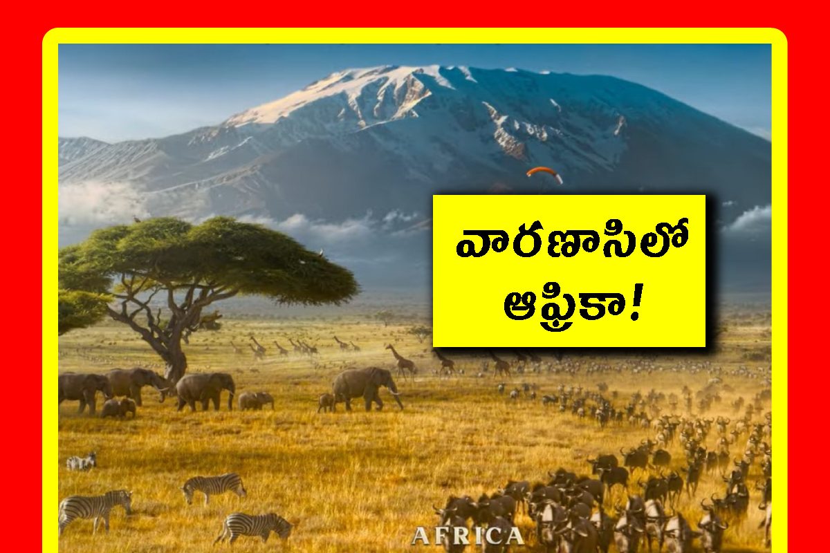 భారతీయ పురాణాలు, ఆఫ్రికన్ మిథాలజీని మిక్స్ చేసిన రాజమౌళి. ఫ్యాన్స్‌కి స్పెషల్ ట్రీట్!