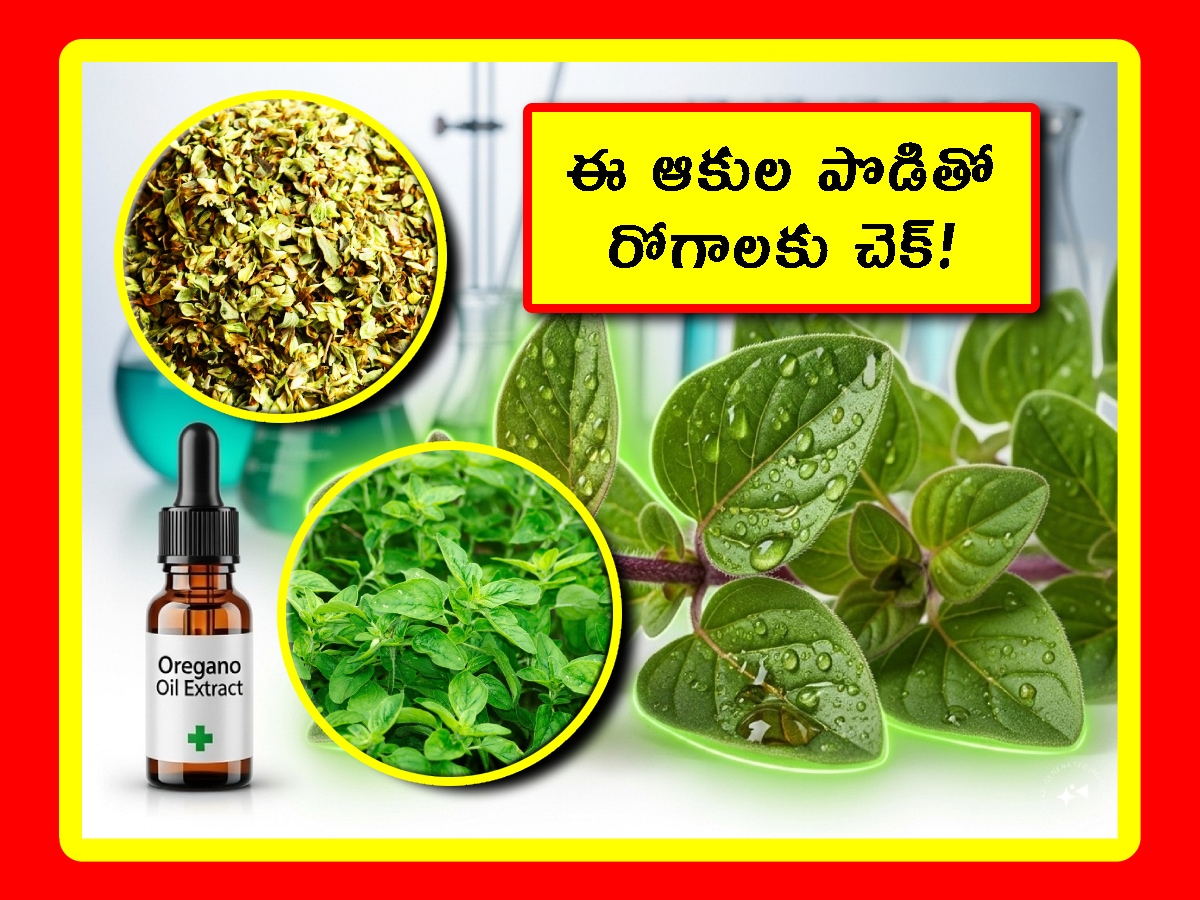 లవంగాల నీరు రోజూ తాగితే ఎన్ని లాభాలో..