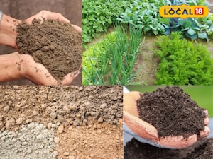 The Real Reason Your Garden Thrives: It's All About the Soil
