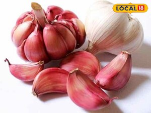 Garlic: Natural Diabetes Regulator, Boosts Heart Health & Immunity