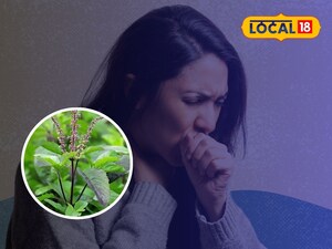 Tulsi: Your Ayurvedic Home Pharmacy for Headaches, Stress & More