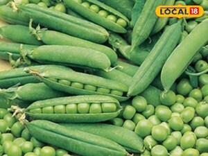 Green Pea Skins: Don't Throw Them Out! They're a Cure for Many Diseases.