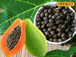 Papaya Seeds: A Hidden Treasure for Health, More Valuable Than Gold!