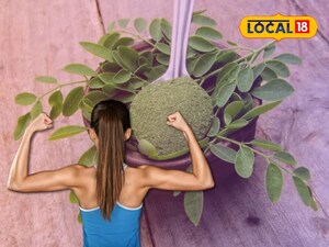 मोरिंगा: पोषक तत्वों का खजाना, बीमारियों का रामबाण इलाज