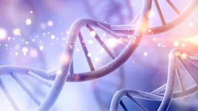 ప్రతీకాత్మక చిత్రం