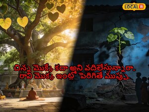 Peepal Sapling in House Walls? Vastu Warns of Inauspicious Signs & Pitra Dosha!