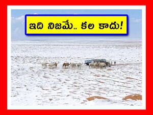 Unprecedented Snowfall in Saudi Arabia: Climate Change Warning as Desert Turns White